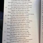 İlay Erkök Instagram - rσmєσnαlím ❤️
