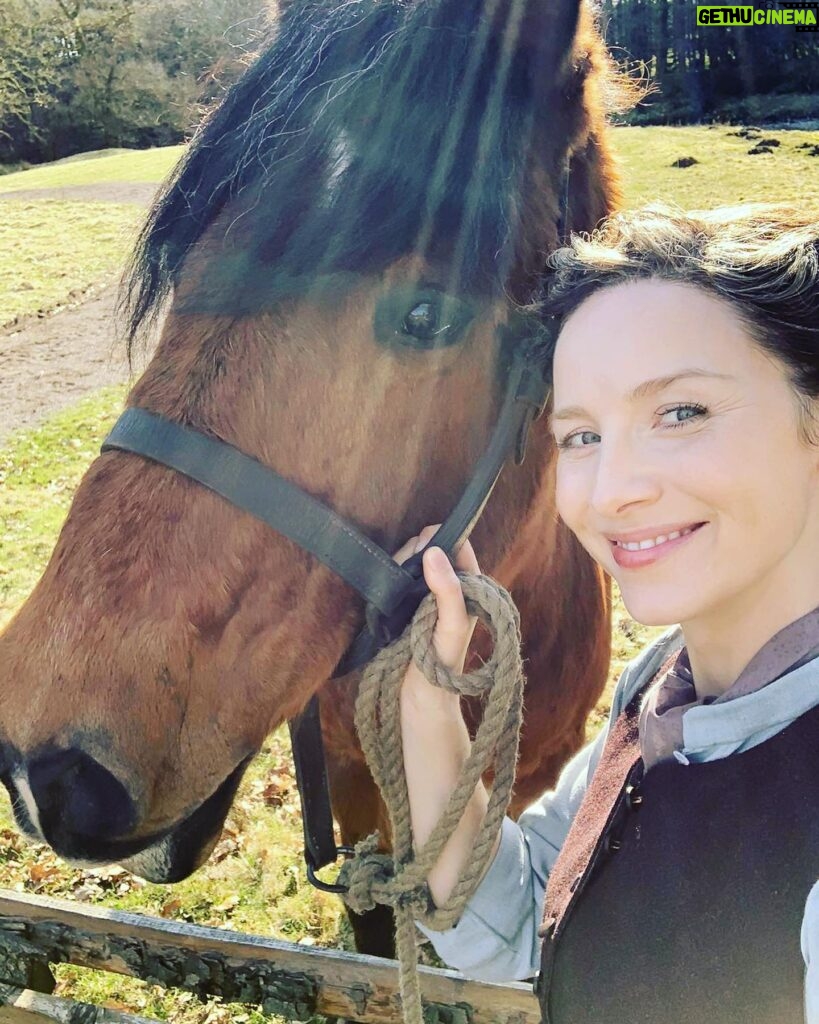 Caitríona Balfe Instagram - My first ❤️..... Travis my season one dreamboat is back on set.... The horse I properly learned to ride on. Be still my heart....🤎🤎🤎 #Season6BTS #Outlander
