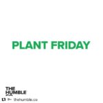 Caitríona Balfe Instagram - #Repost @thehumble.co with @get_repost ・・・ Let’s make Black Friday green. Today is Plant Friday and by sharing this post in your story, we will plant a tree for the climate. 🌳 Planting trees (biomass) is definitely the cheapest and most efficient way to reduce CO2. A natural climate solution. Plant a tree with us today! 💚