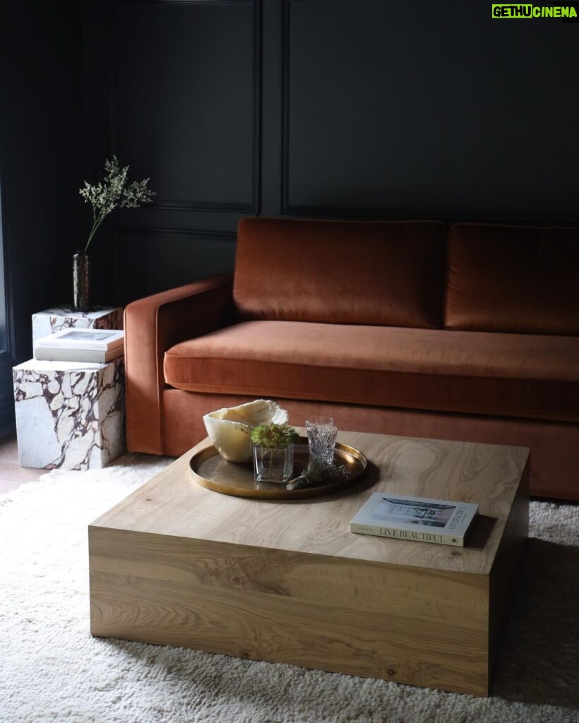Caity Lotz Instagram - I’m so in love with this rust sleeper sectional from @interiordefine ! We got to customize the size, color, and cushions to get exactly what we needed for the room. We wanted a movie room/den, but also needed a place for guest so this sleeper sofa was the perfect solution. The coffee table is from @thehavenly and the leather chair also from @interiordefine #defineby @theinside Promo code: CAITY20