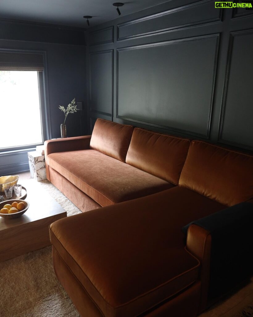 Caity Lotz Instagram - I’m so in love with this rust sleeper sectional from @interiordefine ! We got to customize the size, color, and cushions to get exactly what we needed for the room. We wanted a movie room/den, but also needed a place for guest so this sleeper sofa was the perfect solution. The coffee table is from @thehavenly and the leather chair also from @interiordefine #defineby @theinside Promo code: CAITY20