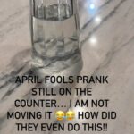 Camila Alves Instagram - They tried to get me on April Fools, it did not work! It’s been on the counter for 4 days now! 😂 let’s see who will get annoyed and move it… 💚💛💚💛💚💛💚💛💚💛💚💛💚💛💚💛 Eles tentaram me pegar no primeiro de abril, mas não funcionou! Já está no balcão há 4 dias! 😂 vamos ver quem vai mexer…
