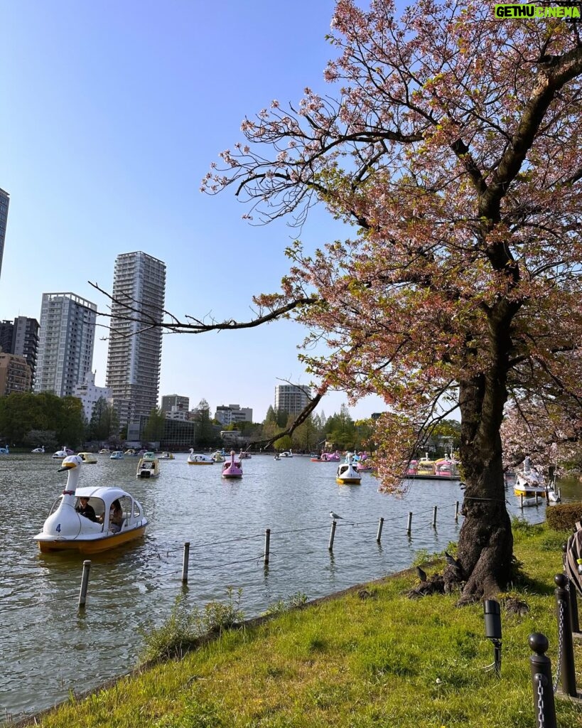 Camila Queiroz Instagram - 🌸 Sakura season 🌸