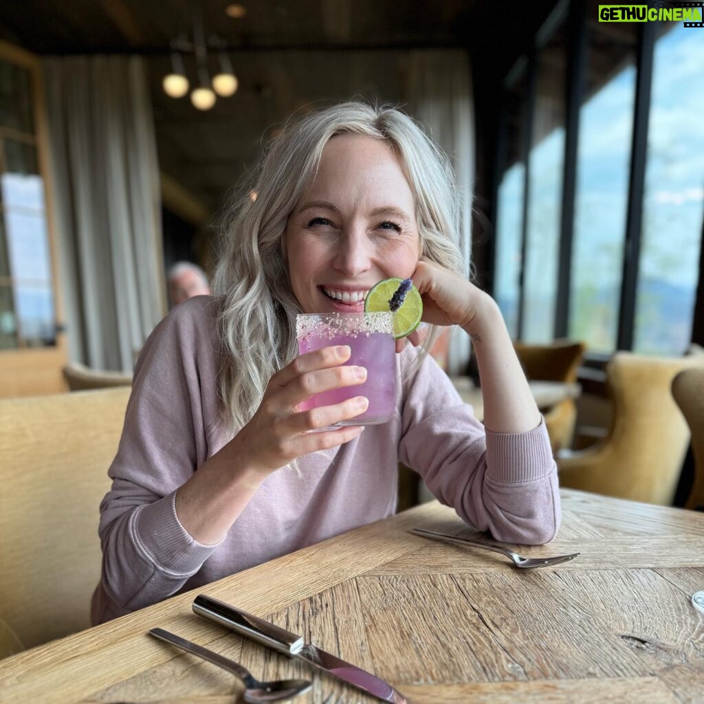 Candice King Instagram - Had the dreamiest time at @blackberry.mountain last week 🏔️ 🎣 🥃 🌲 swipe through for adventures and to see if what was rustling in the bushes was a Turkey 🦃 or a Bear 🐻 …. And it legit was ✌️