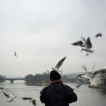 Cansu Dere Instagram - ...