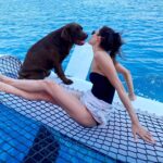 Cansu Dere Instagram - Aldım öpücüğü ⛵️🐾 #Django 💙
