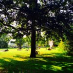 Cansu Dere Instagram -