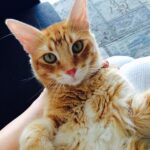 Cansu Dere Instagram -