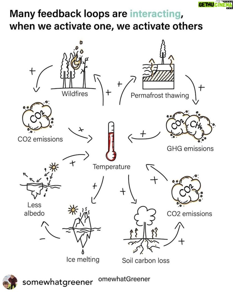 Carice van Houten Instagram - This might help to get your head around the climate crisis. @somewhatgreener