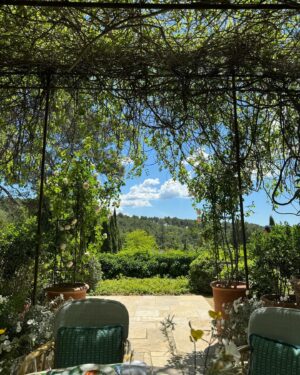 Carina Lau Instagram - Garden lunch #garden #lunch #romantic #weekend