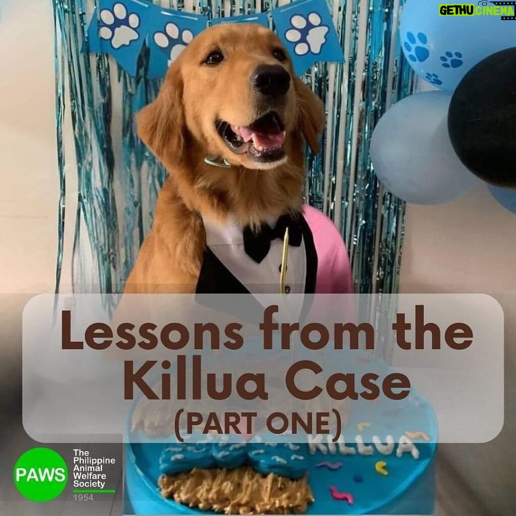 Carla Abellana Instagram - For those who want to argue, please read. Again, please read. Thank you. 🙏🏻 Reposted from @pawsphilippines We are posting answers to commonly asked questions related to the Killua dog-killing case and some lessons worth repeating to emphasize the importance of both responsible pet ownership and a humane animal control system. As we seek #JUSTICEFORKILLUA, let us also be vigilant in the campaign for humane forms of animal control and responsible pet ownership. ****** UPDATE ON #JUSTICEFORKILLUA Last Monday, PAWS and Killua’s fur-mom Vina filed a case against Anthony Solares who was caught on CCTV chasing after the dog and then beating Killua to death. The preliminary investigation is now being handled by the Office of the Provincial Prosecutor of Camarines Sur. Over the next few weeks, we are expecting a Resolution from the above mentioned office and we are also expecting that a subpoena will be issued for Solares We are grateful to volunteer lawyers from CamSur, Atty. Alyssa Mary John P. Abanes and Atty. Aldrin Carlos Niño A. Mereria, for their legal assistance. We also acknowledge and commend the bravery of the witnesses who have come forward, as well as the invaluable support rendered by the Bato Municipal Police Station.