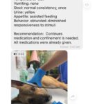 Carla Abellana Instagram - Please please please donate, even just a little. 🥺🙏🏻 Reposted from @pawssionproject Just a few of the recent cases we accommodated. Ferdie’s running bill as of 2 days ago was 40k Ayana’s surgery and initial tests and medication 67,300 A few new rescued in Bacolod 23k Kashie 21,850 Febor Initial 18k Ongoing medications and chemo sessions of the Paco dogs Atleast 9 rescues from Tandang Sora yet to be posted And these are all ongoing medications and rehab. Just for the new cases alone, we need over ₱300,000 for the rescues’ vettings and treatment. We all need your help. We have already settled atleast 50% of these. These are all on top of our monthly operational expenses of atleast 600-700 rescues for both shelters with now atleast 700 rescues. Thankfully we have inkind dogfood donations recently, without that, our monthly opex including medical missions and strayfeeding would be atleast 1M every month. Every donation and sponsorship matters to help us continue the work we do. Despite all our efforts to rehome, educate and spay and neuter, there’s still so much more to be done. Lets all help each other. For the animals.