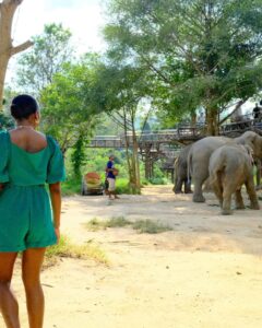Carlacia Grant Instagram - Had the most magical day visiting the amazing elephants at the ethical Samui Elephant Kingdom. #ethicalelephantsanctuary #elephantrescue #kohsamui #kohsamuithailand