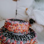 Carly Pearce Instagram - Johnny & June are 4 today!!! These 2 are truly my besties & the most unconditional lovers I’ve ever had. Here’s to living 100 years my sweets 🐶🤍🐶
