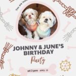 Carly Pearce Instagram - Johnny & June are 4 today!!! These 2 are truly my besties & the most unconditional lovers I’ve ever had. Here’s to living 100 years my sweets 🐶🤍🐶