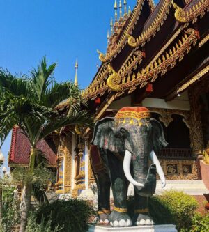 Carolina Loureiro Instagram - pit stop 📍 chiang mai
