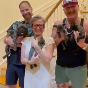 Caroline Manzo Instagram - Hey guys! I’m DYING over these puppies ( and momma) that my sister @franniebkind2animals and her team at @halfwayhomeanimalrescueteam just rescued! Make a $5 donation to the rescue for the care of this beautiful little family, and you can give name suggestions for these three baby boys and mom. Screen shot your donation and message @franniebkind2animals - the winner gets their names used, and a tee shirt! Be sure to follow the rescue and #adoptdontshop ! #frenchiesofinstagram #frenchie #rescue