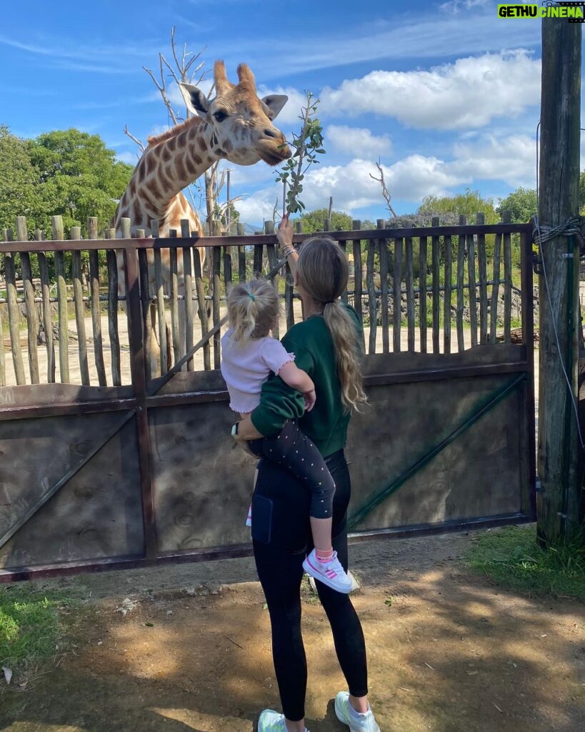 Caroline Wozniacki Instagram - Amazing day at the @aucklandzoo with the kiddos! We got to see and touch the Kiwis that will be put back in to the world safely, when they are big and strong enough! We fed the giraffes, talked with the parrot’s, and saw the closest thing to a dinosaur! Happy day all around! 😍