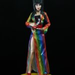 Cassandra Peterson Instagram - ANNOUNCEMENT! 🏳️‍🌈 🖤 ➖ Elvira - Over the Rainbow Elvira 8” Clothed Figure ➖ Celebrate Pride Month with Elvira, Mistress of the Dark! The devilishly delightful Cassandra Peterson has played the part of Elvira for more than 40 years with grace, humor and more than a little camp. NECA is proud to present this “Over the Rainbow” Elvira figure, celebrating the horror and queer icon in a never-before-seen, sparkling rainbow dress for your collection. With an original tailored fabric gown, glittery ruby red heels, and a yellow brick display base, she’s definitely not in Kansas anymore! This fully articulated 8-inch action figure features new faceplate technology with two interchangeable expressions and hands, including brand new ones that allow you to recreate Elvira’s signature pose! She comes with a book accessory of Peterson’s memoir, “Yours Cruelly, Elvira”, and a double-sided flag with 10 stickers to customize and show your unique pride!  ➖ Available now on thenecastore.com, and shipping to your favorite NECA retailer in June! ➖ #Elvira #MistressoftheDark #Pride #OvertheRainbow #CassandraPeterson #NECA #actionfigure