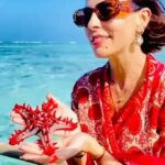 Catarina Furtado Instagram - Dizem que hoje é o Dia Internacional da Felicidade. O que quer dizer felicidade ? Para mim significa momentos, os momentos em que conseguimos absorver o presente com a força que nos permite não deixar escapar nenhum pormenor. Felicidade é também o brilho dos nossos olhos refletido nos olhos de quem nos vê e de quem connosco vive o presente e desenha o futuro, sempre com boas memórias do passado .❤️ O que é felicidade para vocês? #felicidadeéisso #gratidao #feliz 📸 @teresa__conceicao