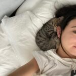 Cazzie David Instagram - Found another cat with ears as big as mine