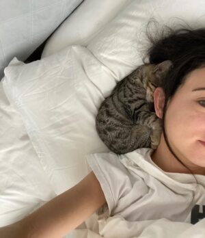 Cazzie David Instagram - Found another cat with ears as big as mine