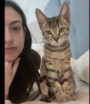 Cazzie David Instagram - Found another cat with ears as big as mine