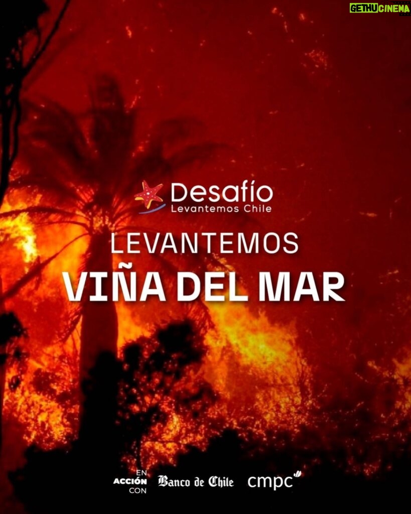 Cecilia Bolocco Instagram - Hoy junto a Desafío Levantemos Chile estoy comprometida con las familias de Viña del Mar que lo perdieron todo en un voraz incendio. Nuestro desafío es recaudar 500 millones para entregar artículos de primera necesidad y herramientas de trabajo para que puedan levantarse!!! Que hermoso poder, en esta Navidad, ayudar a quienes más lo necesitan! Haz tu donación en www.desafiolevantemoschile.cl