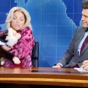 Cecily Strong Instagram - Just wanted to share a couple illegal memories that make me laugh a lot. Update written with Bowen and James Anderson, *lightly* based on a legend of stage and screen 😛. Puppetry work by Mikey Day because I asked him to step in figuring he’d make sure to surprise me so I wouldn’t know when he’d start or stop his movements- like a real monkey costar. However, while actually performing it, I realized I had basically asked my friend to feel me up. Sorry about that Mikey. (But Heidi as Aunt Pat last week was way worse so I feel like I’m off the hook). “Best picture goes to La La Land! Better luck next year, homosexuals!”- that line got cut off at the end of the video