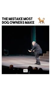 Cesar Millan Instagram - Back to Basics! 📚 Training Tip Tuesday. Fill in the blank. How does a dog learn? Nose, Eyes, and ______.