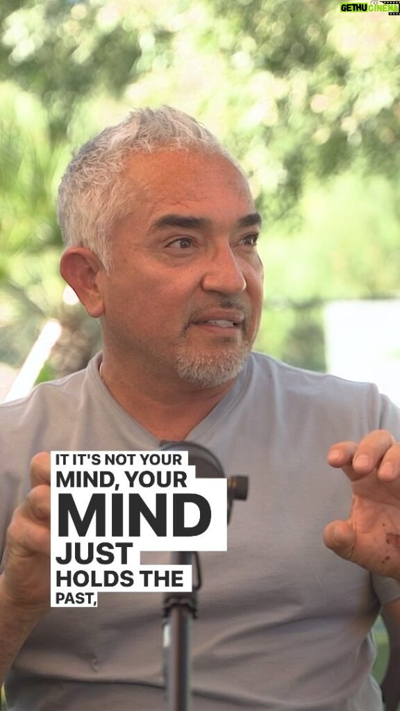 Cesar Millan Instagram - Your mind holds the past. We must have a conversation with our heart, mind, and instincts. We are in charge of our relationship with our dogs, and it is our responsibility to fix it! 🎙 Our newest episode with my son @andremillanofficial is out now in our bio! #betterhumansbetterplanet