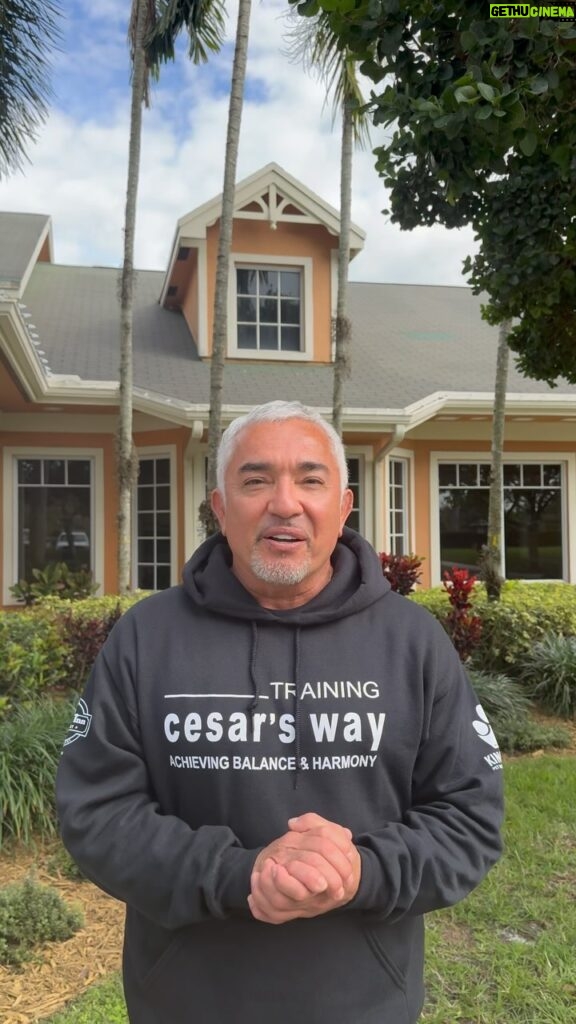 Cesar Millan Instagram - #BetterHumanBetterPlanet the mission continues and today another #TrainingCesarsWay is underway. Trust, respect and love Mother Nature ❤️🌎