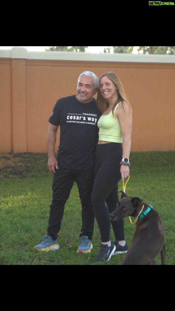 Cesar Millan Instagram - TCW Testimonial - The Power of Simple & Profound - Lisa ❤ Thank you for joining us on our mission of making this world a better planet by becoming better humans for our dogs. 🌎 Be a part of the magic and sign up for Training Cesar’s Way! ✨ Visit cesarmillan.com for more info. #dog #dogtraining #betterhumansbetterplanet