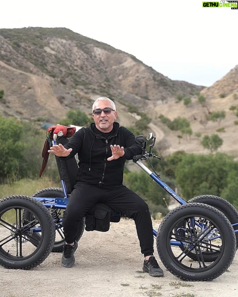 Cesar Millan Instagram - The #SaccoDogCart Cesar Millan 1st Edition is here!!! So excited and thankful for this 🙌 Learn more 👉 https://saccodogcart.com/