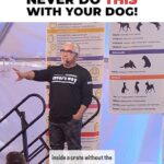 Cesar Millan Instagram – Training Tip Tuesday 📚

Never do this with your dog ❗️

Remember the FIVE body motions. 

Stretch, Walk, Run, Rest, and Sleep. 

Learn more @trainingcesarsway 

#dog #dogtraining #cesarmillan