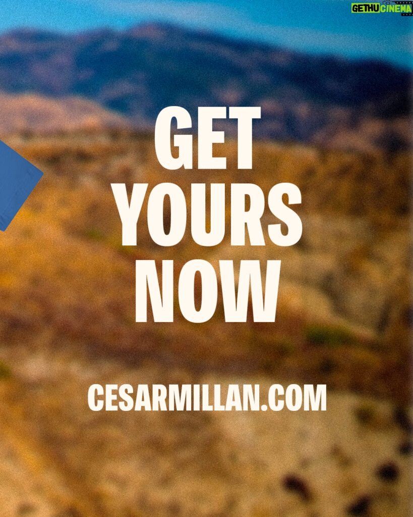 Cesar Millan Instagram - Proud and excited to share with you the ALL NEW CESAR MILLAN MERCH 🎉 Join me on our mission to make this world a better planet by bettering the way we as humans treat our animals ❤️ Get yours today by visiting my website, cesarmillan.com Link in my bio! #betterhumansbetterplanet