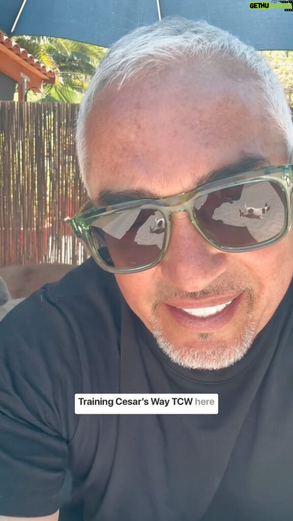 Cesar Millan Instagram - Happy Sunday Surrender to making life Natural, Simple, and Profound. ❤️ I surrender that we all nurture our belief, our instincts, our heart, and our creativity to make a better planet by becoming better humans. 🌎 Thank you everybody who made this week of Training Cesar’s Way possible. Thank you to the students for believing in our mission. Thank you God for everything you do. #betterhumansbetterplanet