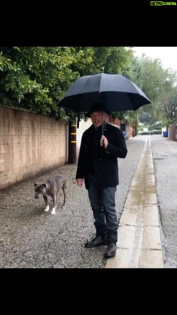 Cesar Millan Instagram - On a rainy day like today I get asked all the time “How do I get my dog to use the bathroom outside when it’s raining” ☔ #throwback with Junior. We miss you everyday ❤ #betterhumansbetterplanet #trainingtiptuesday