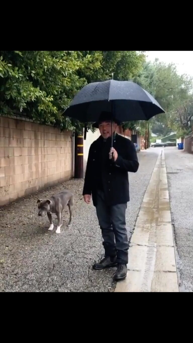 Cesar Millan Instagram - On a rainy day like today I get asked all the time “How do I get my dog to use the bathroom outside when it’s raining” ☔️ #throwback with Junior. We miss you everyday ❤️ #betterhumansbetterplanet #trainingtiptuesday