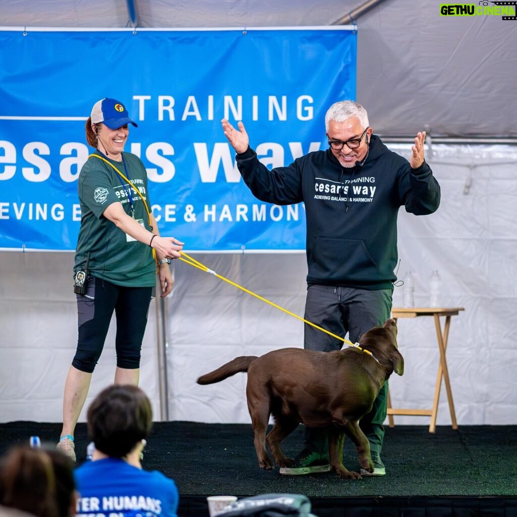 Cesar Millan Instagram - I cannot tell you how much I appreciate this moments 🙏 Gracias!!! Together, changing the world #BetterHumansBetterPlanet #TrainingCesarsWay
