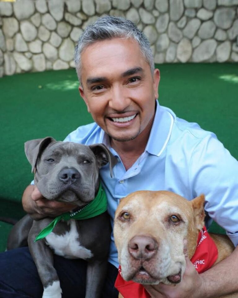 Cesar Millan Instagram - Today is National Love Your Pet Day! ❤️ Here are my favorite photos with my best friends 🥰 Share your favorite memories with your pets in the comments! #LoveYourPetDay #betterhumansbetterplanet • • • ¡Hoy es el Día Nacional de Amar a tu Mascota! ❤️ Aquí están mis fotos favoritas con mis mejores amigos 🥰 ¡Comparte tus recuerdos favoritos con tus mascotas en los comentarios! #LoveYourPetDay #mejoreshumanosmejorplaneta