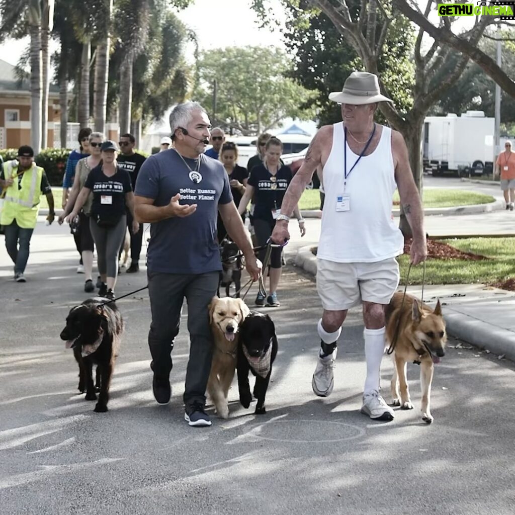 Cesar Millan Instagram - NEXT WEEK! We are back with Training Cesar's Way Fundamentals I in Florida! We are so excited to see you all ❤ #throwback to our last event in 2018. Daily Pack Walks coming soon! #betterhumansbetterplanet #dogtraining