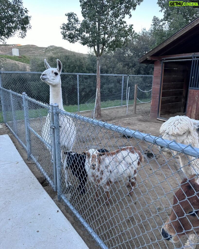 Cesar Millan Instagram - Thank you for my friends Ernesto @ernestozazueta & Cesar Millan @cesarsway for a beautiful family barbecue at his ranch this past Sunday. Blessed to have such good & real Friends