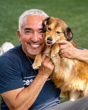 Cesar Millan Thumbnail - 41.5K Likes - Top Liked Instagram Posts and Photos