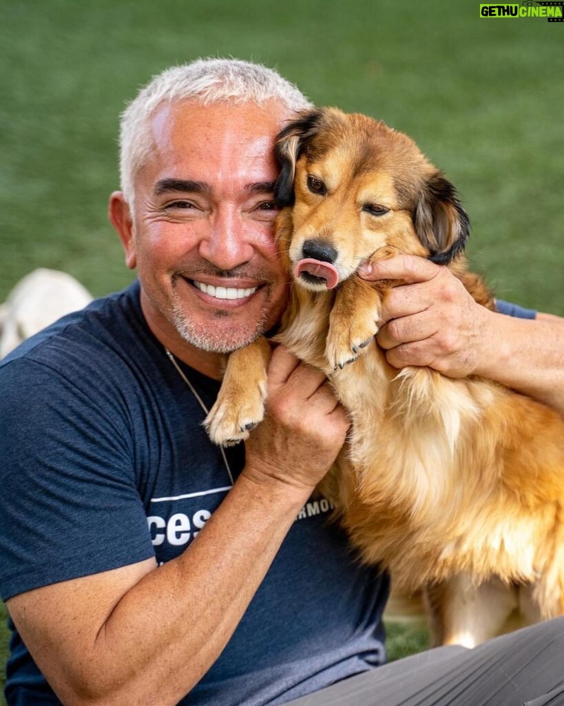 Cesar Millan Instagram - Today is National Love Your Pet Day! ❤ Here are my favorite photos with my best friends 🥰 Share your favorite memories with your pets in the comments! #LoveYourPetDay #betterhumansbetterplanet • • • ¡Hoy es el Día Nacional de Amar a tu Mascota! ❤ Aquí están mis fotos favoritas con mis mejores amigos 🥰 ¡Comparte tus recuerdos favoritos con tus mascotas en los comentarios! #LoveYourPetDay #mejoreshumanosmejorplaneta