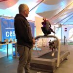 Cesar Millan Instagram – Monday Motivation – Learning the Treadmill with Junior & Rio!

Visit my website to secure your spot at our Training Cesar’s Way workshop where you can learn first hand how to use the treadmill to exercise your dogs!

#mondaymotivation #betterhumansbetterplanet #throwback