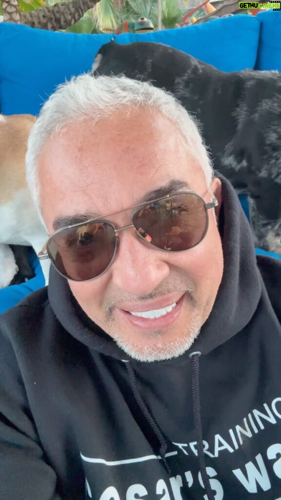 Cesar Millan Instagram - Happy Sunday Surrender 🙏🏽 Today I surrender to maintaining the faith, hard work, passion, and creativity that it takes to bring the message of natural, simple, and profound all over the world 🌍 Let’s believe that the energy is available to us all and focus on having a natural, simple, and profound relationship with our dogs 🐕 Dream big #sundaysurrender #betterhumansbetterplanet