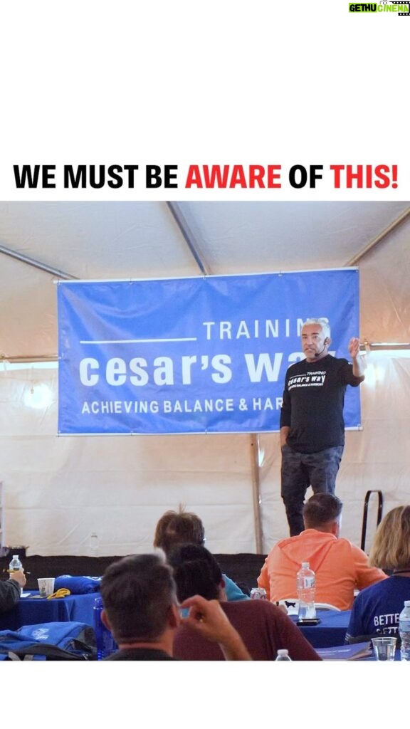 Cesar Millan Instagram - Training Tip Tuesday: We must be aware of our energy! Is our energy triggering the WRONG outcomes? We must be aware of this if we want to create the right relationships with our dogs. What are ways you control your energy? Learn more @trainingcesarsway #dogtraining #dog #cesarmillan