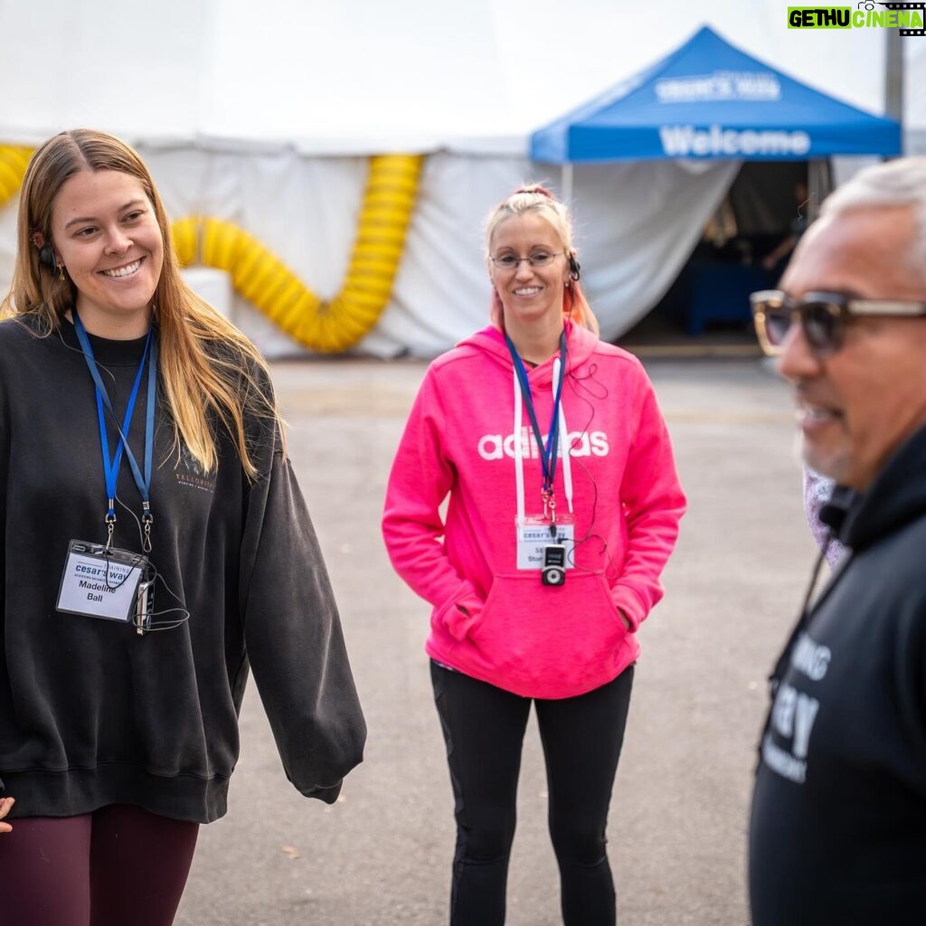 Cesar Millan Instagram - I cannot tell you how much I appreciate this moments 🙏 Gracias!!! Together, changing the world #BetterHumansBetterPlanet #TrainingCesarsWay