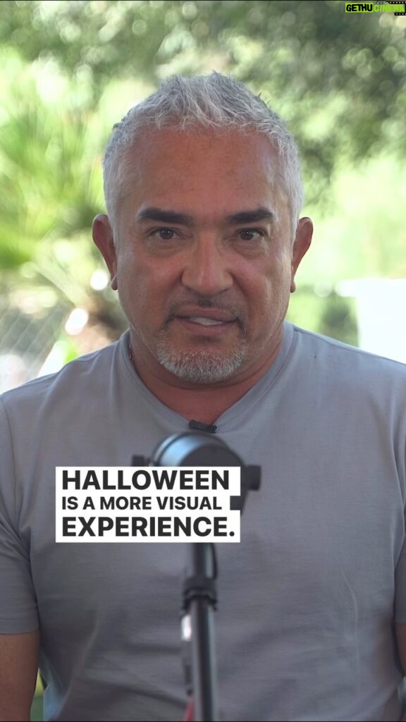 Cesar Millan Instagram - Let’s prepare our dogs for Halloween this weekend! 🎃👻 Remember to take your dogs on a long walk to prepare them for the scents, sights, and excitement they will experience. Learn more @trainingcesarsway #halloween #dogtraining #dogtips